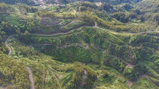 Land for sale in Ribeira Brava, Portugal — €350,000