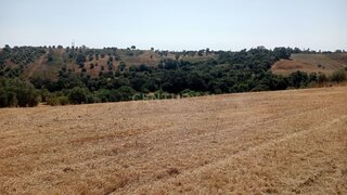 Terreno para venda em Torres Novas, Portugal — 17 500 €