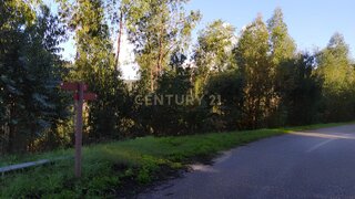 Land for sale in Ferreira do Zêzere, Portugal — €15,000
