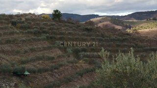 Land for sale in Mirandela, Portugal — €135,000