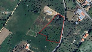 Land for sale in Montemor-o-Novo, Portugal — €350,000