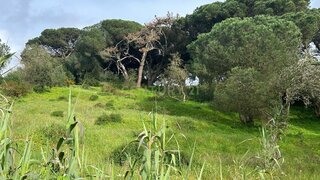 Land for sale in Sesimbra, Portugal — €150,000