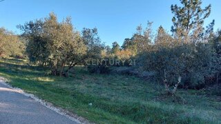 Land for sale in Pombal, Portugal — €55,000