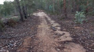 Land for sale in Castelo Branco, Portugal — €6,500