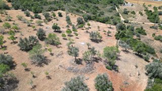 Land for sale in Silves, Portugal — €72,500