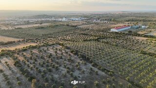 Land for sale in Elvas, Portugal — €50,625