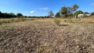 Land for sale in Montemor-o-Velho, Portugal — €16,150