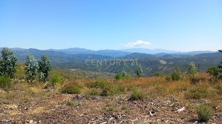 Terreno em Pampilhosa da Serra