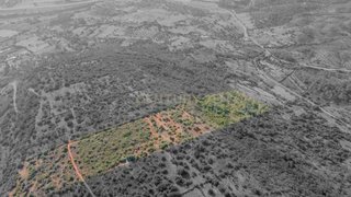 Land for sale in Silves, Portugal — €30,000