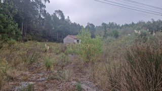 Land for sale in Condeixa-a-Nova, Portugal — €88,000