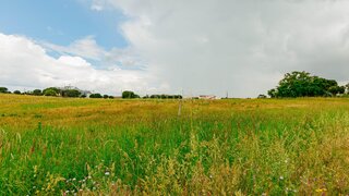 Land for sale in Coruche, Portugal — €200,000