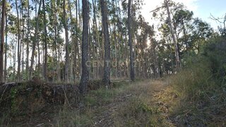 Land for sale in Soure, Portugal — €8,600
