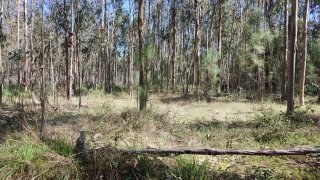 Land for sale in Leiria, Portugal — €26,000