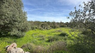 Land for sale in Loulé, Portugal — €75,000