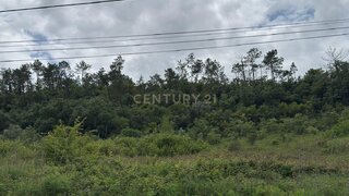 Land for sale in Alcobaça, Portugal — €50,000
