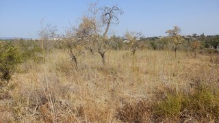 Land for sale in Silves, Portugal — €30,000
