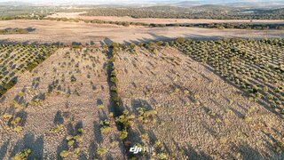 Land for sale in Elvas, Portugal — €61,875