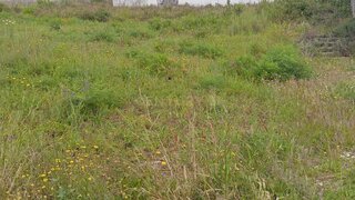 Land for sale in Sesimbra, Portugal — €475,000