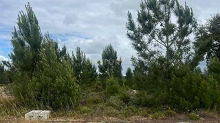 Land for sale in Sesimbra, Portugal — €72,000