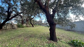 Land for sale in Castelo Branco, Portugal — €8,500