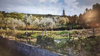 Land for sale in Sertã, Portugal — €45,000