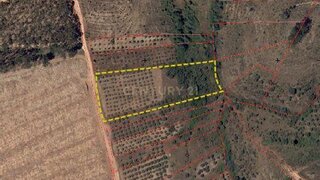 Terreno de 10 500 m² em Castelo Branco