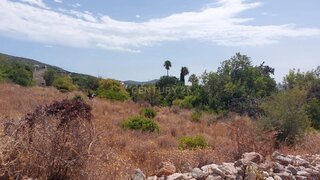 Land for sale in Loulé, Portugal — €50,000