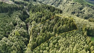 Land for sale in Nordeste, Portugal — €12,000