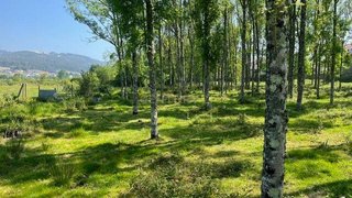 Land for sale in Penafiel, Portugal — €199,000
