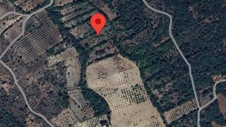 Land for sale in Ferreira do Zêzere, Portugal — €40,000