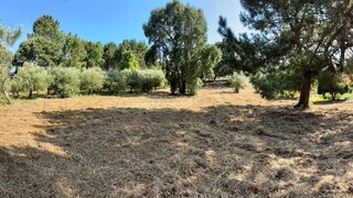 Terreno de 2700 m² em Leiria