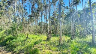 Land for sale in Nazaré, Portugal — €16,500