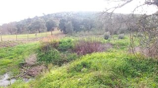 Land for sale in Monchique, Portugal — €30,000
