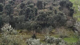 Terreno em Vila Nova de Foz Côa