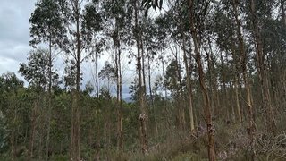 Land for sale in Penacova, Portugal — €10,000