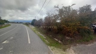 Land for sale in Castelo Branco, Portugal — €14,500