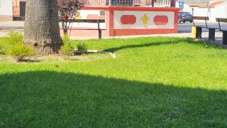 Land for sale in Barreiro, Portugal — €110,000
