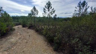 Land for sale in Castelo Branco, Portugal — €6,500