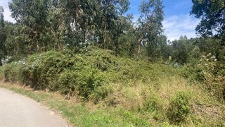 Land for sale in Valongo, Portugal — €299,000