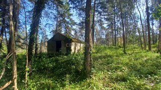 Land for sale in Montemor-o-Velho, Portugal — €70,000