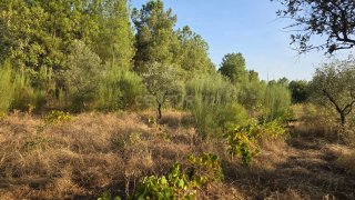 Land for sale in Fundão, Portugal — €9,000