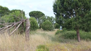 Land for sale in Montijo, Portugal — €55,000