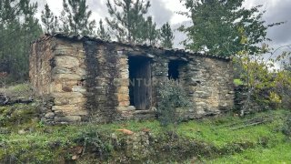 Land for sale in Proença-a-Nova, Portugal — €19,200