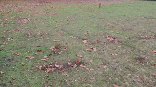 Land for sale in Marco de Canaveses, Portugal — €31,500