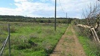 Land for sale in Loulé, Portugal — €441,000