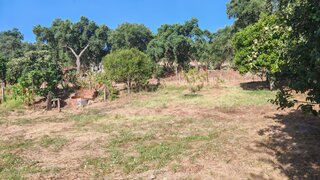 Land for sale in Sabugal, Portugal — €5,000