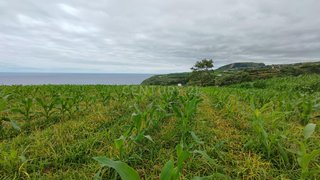 Land for sale in Ribeira Grande, Portugal — €85,000