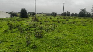 Terreno de 4920 m² em Santarém