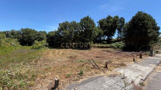 Land for sale in Santa Comba Dão, Portugal — €49,500