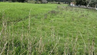 Land for sale in Nazaré, Portugal — €37,500